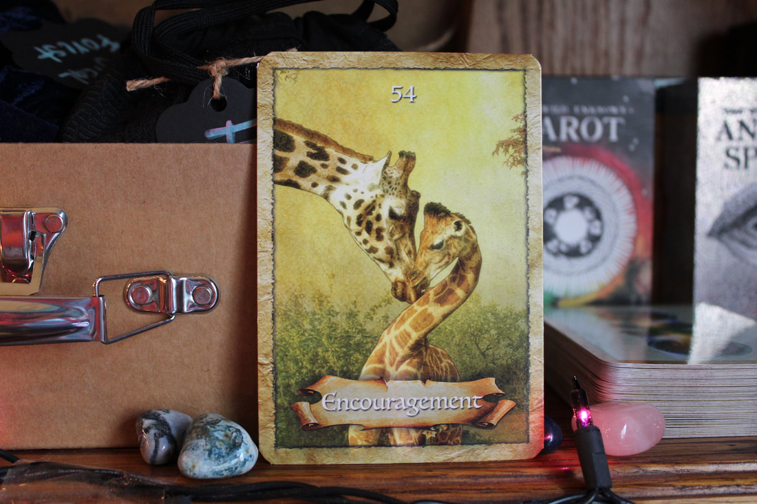Wisdom of the Oracle Divination Cards: Ask and Know - Dragonfly